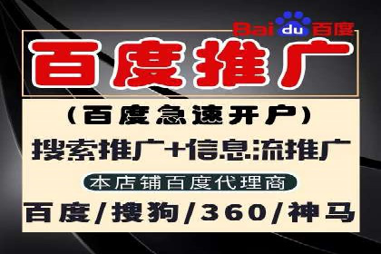 百度竞价排名案例研究：如何制定有效的广告计划？